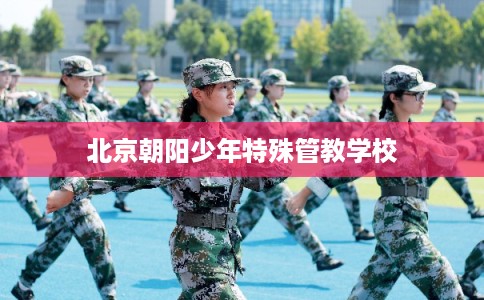 北京朝阳少年特殊管教学校