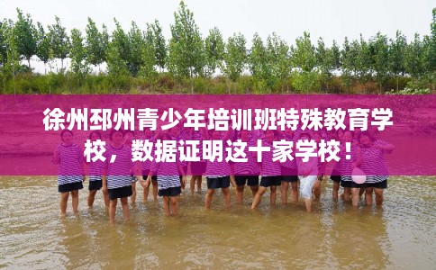 徐州邳州青少年培训班特殊教育学校，数据证明这十家学校！
