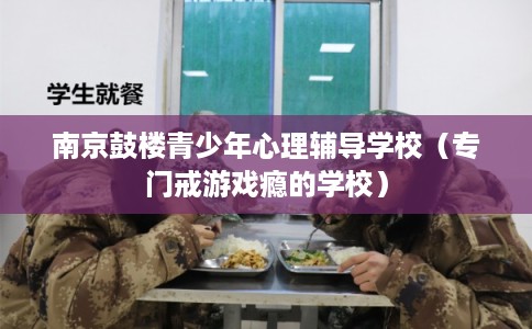 南京鼓楼青少年心理辅导学校（专门戒游戏瘾的学校）