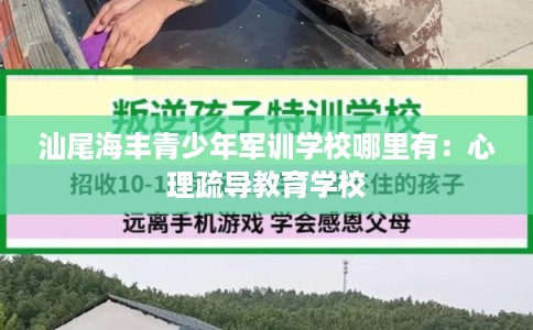 汕尾海丰青少年军训学校哪里有：心理疏导教育学校