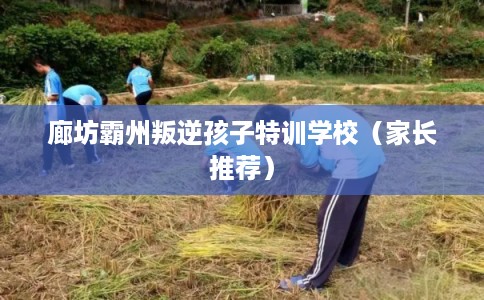 廊坊霸州叛逆孩子特训学校（家长推荐）