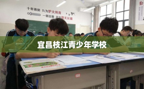 宜昌枝江青少年学校
