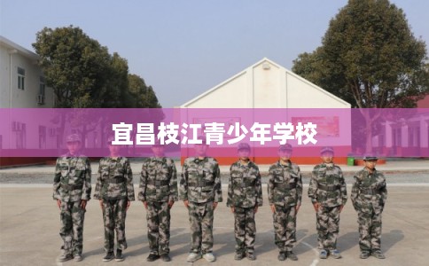 宜昌枝江青少年学校