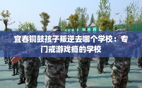 宜春铜鼓孩子叛逆去哪个学校：专门戒游戏瘾的学校