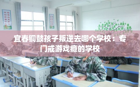 宜春铜鼓孩子叛逆去哪个学校：专门戒游戏瘾的学校