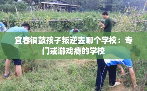 宜春铜鼓孩子叛逆去哪个学校：专门戒游戏瘾的学校