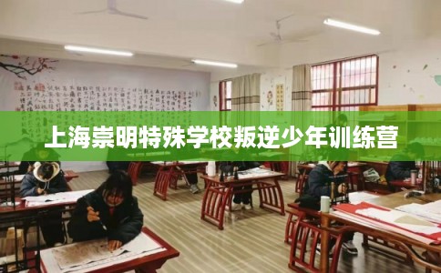 上海崇明特殊学校叛逆少年训练营