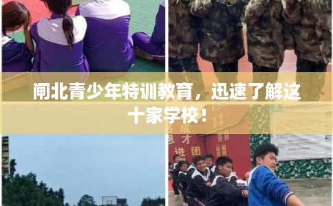 闸北青少年特训教育，迅速了解这十家学校！