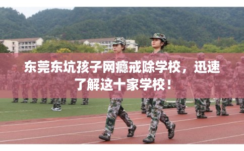 东莞东坑孩子网瘾戒除学校，迅速了解这十家学校！