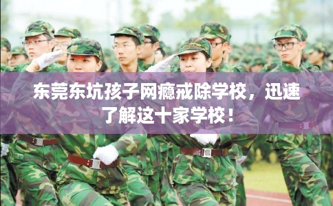 东莞东坑孩子网瘾戒除学校，迅速了解这十家学校！