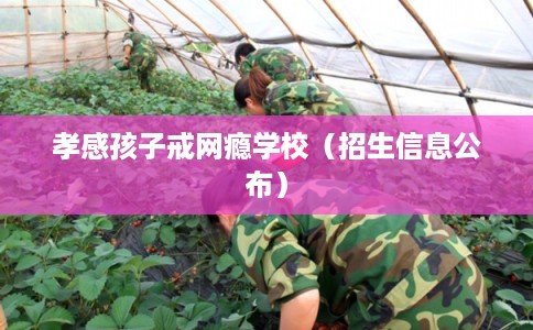 孝感孩子戒网瘾学校（招生信息公布）