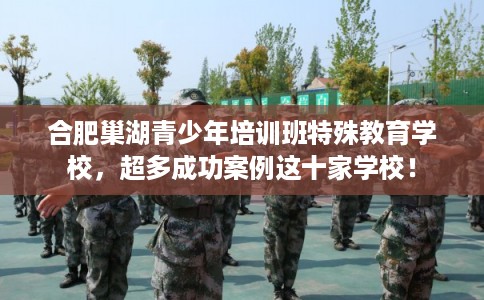 合肥巢湖青少年培训班特殊教育学校，超多成功案例这十家学校！