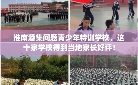 淮南潘集问题青少年特训学校，这十家学校得到当地家长好评！