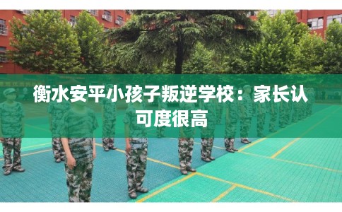 衡水安平小孩子叛逆学校：家长认可度很高
