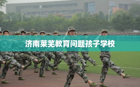 济南莱芜教育问题孩子学校