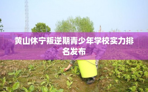 黄山休宁叛逆期青少年学校实力排名发布 黄山休宁叛逆期青少年学校实力排名发布