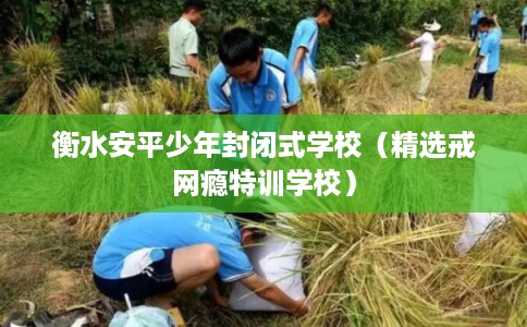 衡水安平少年封闭式学校（精选戒网瘾特训学校）