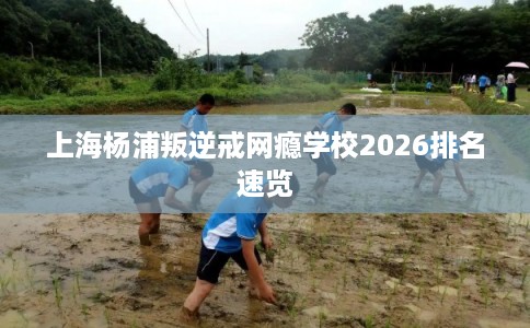 上海杨浦叛逆戒网瘾学校2026排名速览