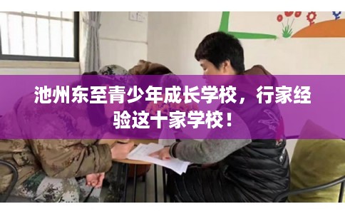 池州东至青少年成长学校，行家经验这十家学校！
