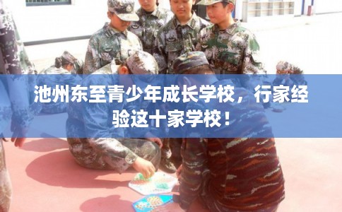 池州东至青少年成长学校，行家经验这十家学校！