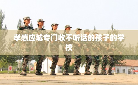 孝感应城专门收不听话的孩子的学校