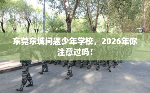 东莞东城问题少年学校，2026年你注意过吗！