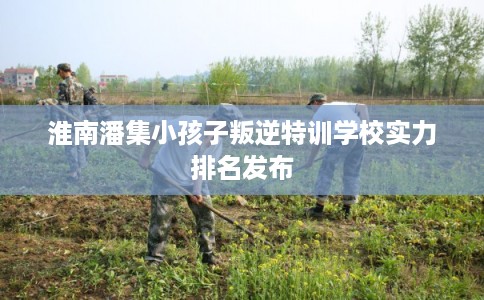 淮南潘集小孩子叛逆特训学校实力排名发布