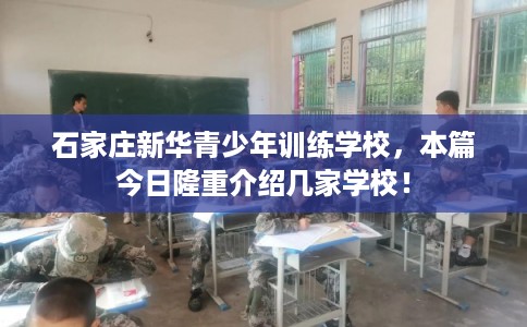 石家庄新华青少年训练学校，本篇今日隆重介绍几家学校！