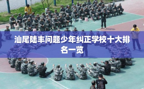汕尾陆丰问题少年纠正学校十大排名一览
