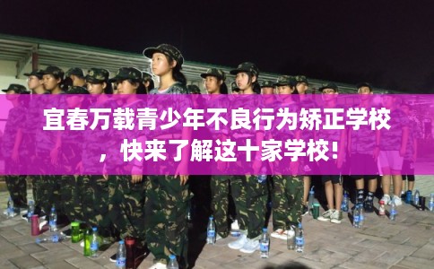 宜春万载青少年不良行为矫正学校，快来了解这十家学校!