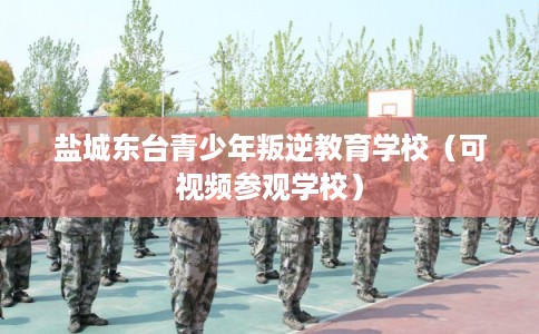 盐城东台青少年叛逆教育学校（可视频参观学校）