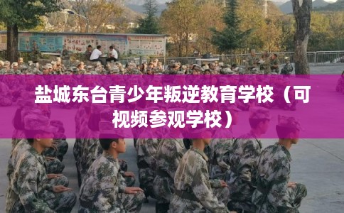 盐城东台青少年叛逆教育学校（可视频参观学校）