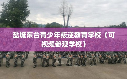 盐城东台青少年叛逆教育学校（可视频参观学校）