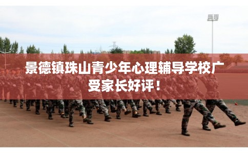 景德镇珠山青少年心理辅导学校广受家长好评！