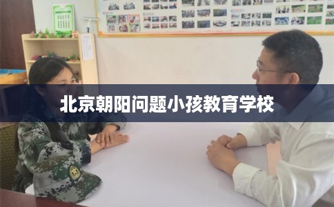 北京朝阳问题小孩教育学校