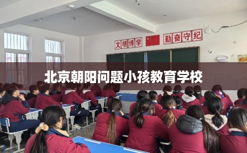 北京朝阳问题小孩教育学校