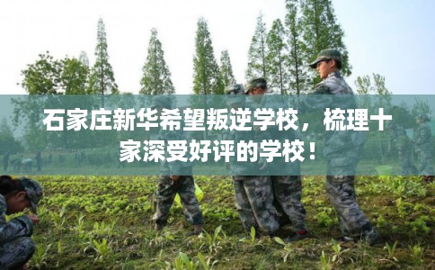 石家庄新华希望叛逆学校，梳理十家深受好评的学校！