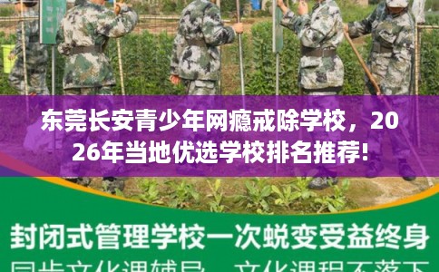 东莞长安青少年网瘾戒除学校，2026年当地优选学校排名推荐!