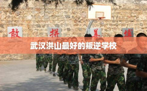 武汉洪山最好的叛逆学校