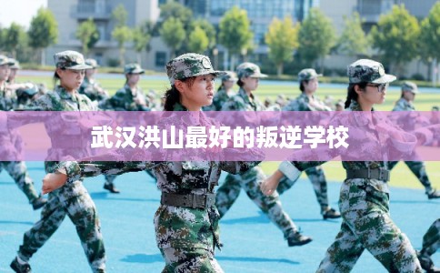 武汉洪山最好的叛逆学校