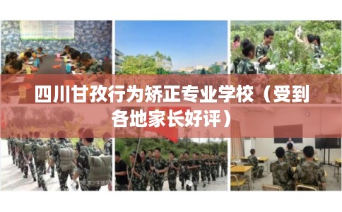 四川甘孜行为矫正专业学校（受到各地家长好评）