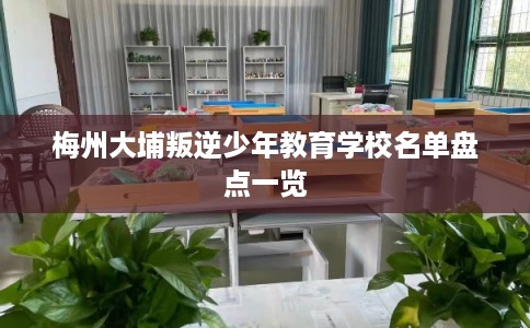 梅州大埔叛逆少年教育学校名单盘点一览
