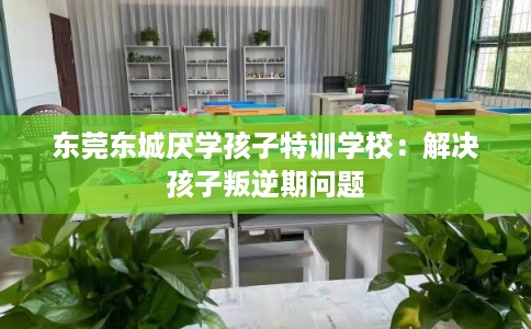 东莞东城厌学孩子特训学校：解决孩子叛逆期问题