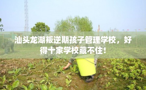 汕头龙湖叛逆期孩子管理学校，好得十家学校藏不住！