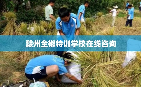 滁州全椒特训学校在线咨询