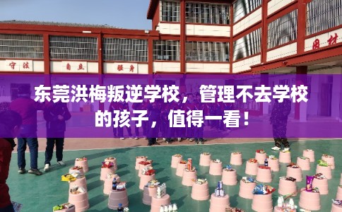 东莞洪梅叛逆学校，管理不去学校的孩子，值得一看！