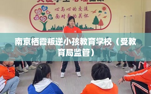 南京栖霞叛逆小孩教育学校（受教育局监管）