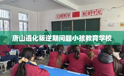 唐山遵化叛逆期问题小孩教育学校