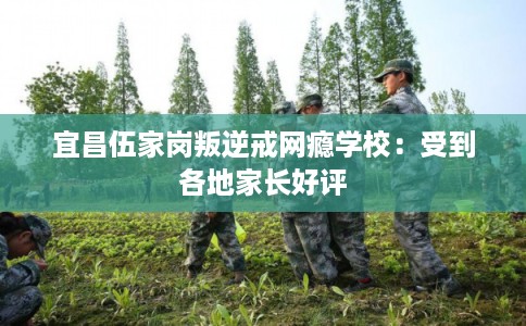 宜昌伍家岗叛逆戒网瘾学校：受到各地家长好评