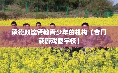 承德双滦管教青少年的机构（专门戒游戏瘾学校）